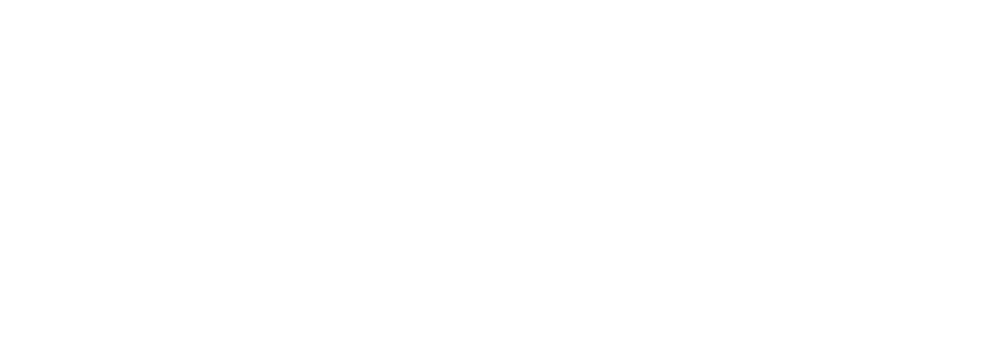 BNPS –  Bangladesh Nari Progati Sangha